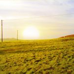 Godrej Properties New Launch Plots woodland